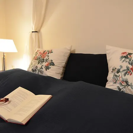 Viechtach Apartament